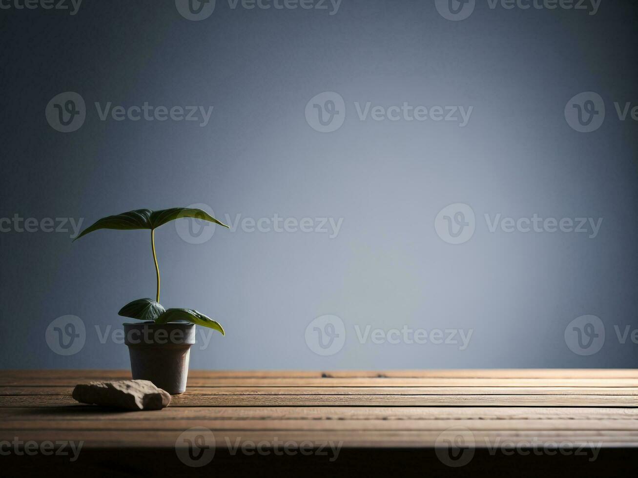 Wooden table and blur tropical white background, product display montage. High quality photo 8k FHD AI generated