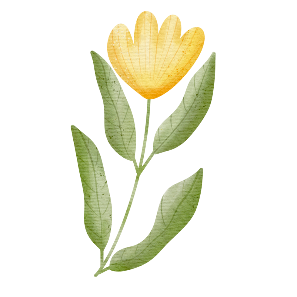 Hand Drawn Cute Gardening Elements png