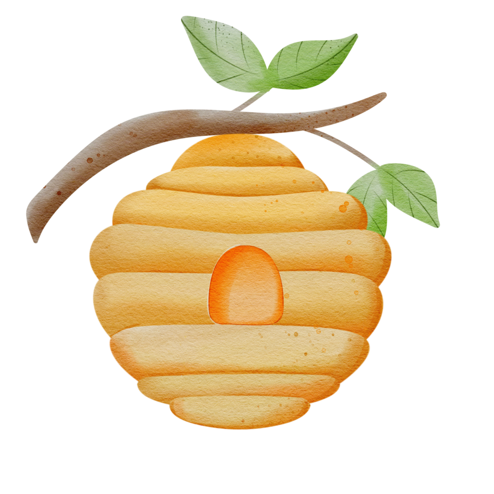 illustration of cute honeycomb png