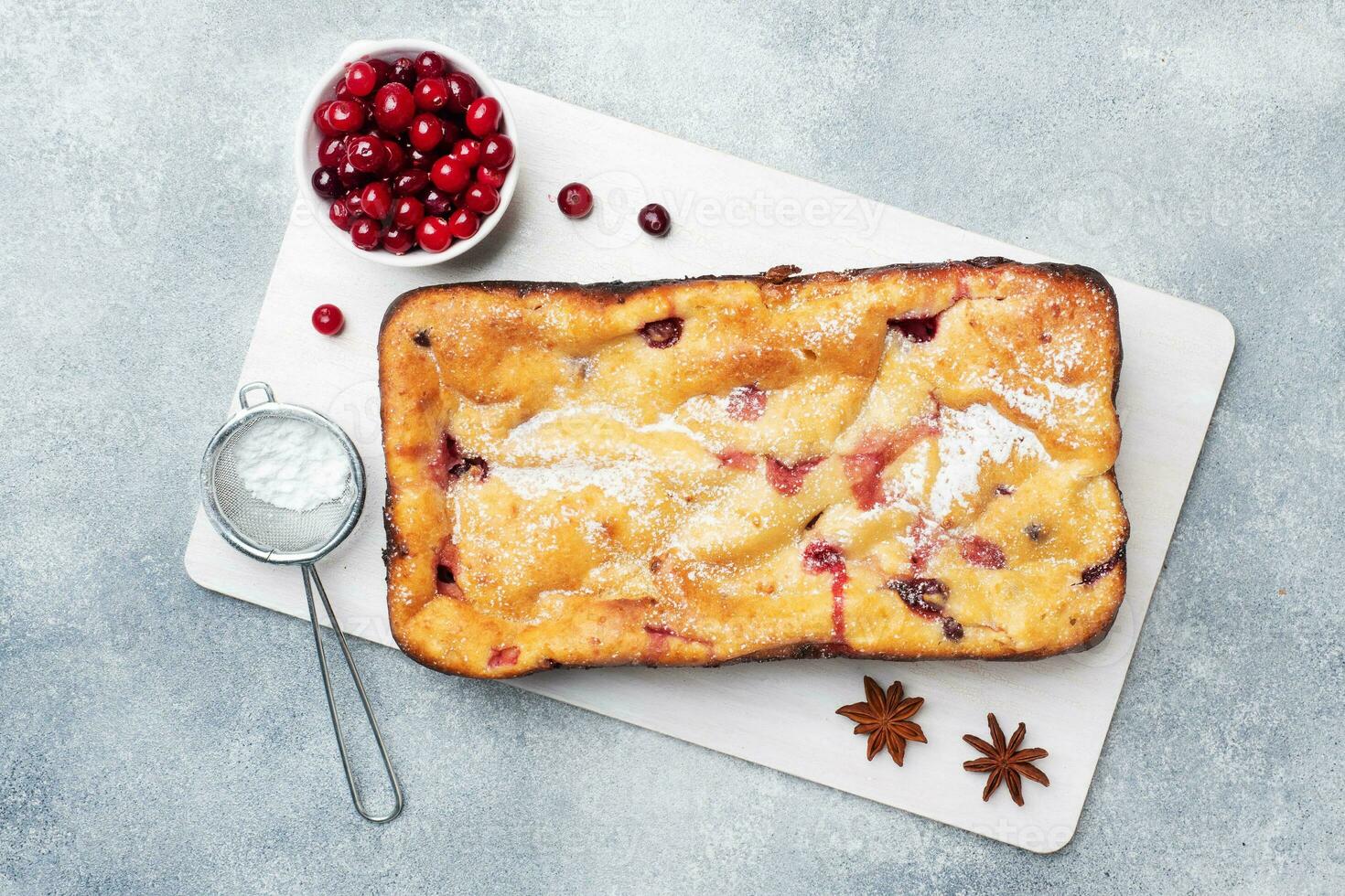 Cottage cheese pie casserole with cranberries and spices sprinkled with powdered sugar on a wooden stand. Gray concrete table. photo