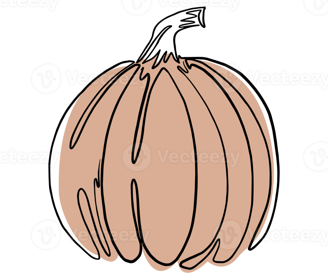 Minimal style pumpkin in hand drawing  isolated on transparent PNG  for halloween and Thanksgiving