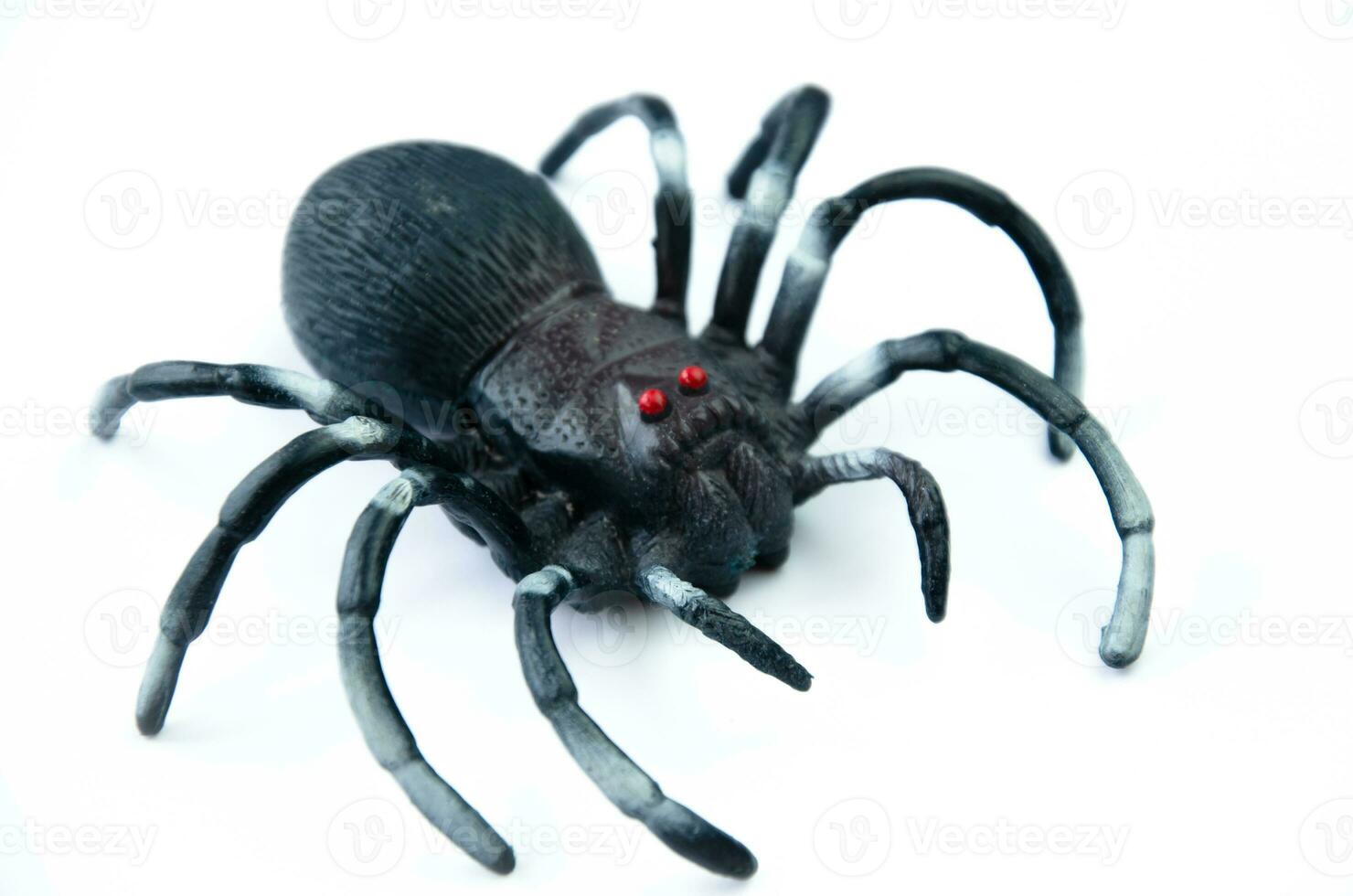 Toy black spider on white background. High quality photo