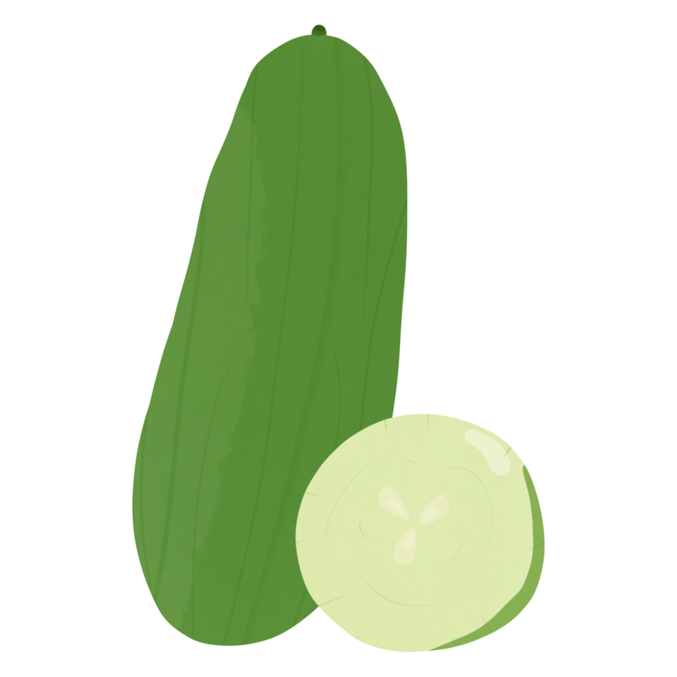 Green cucumber png. png