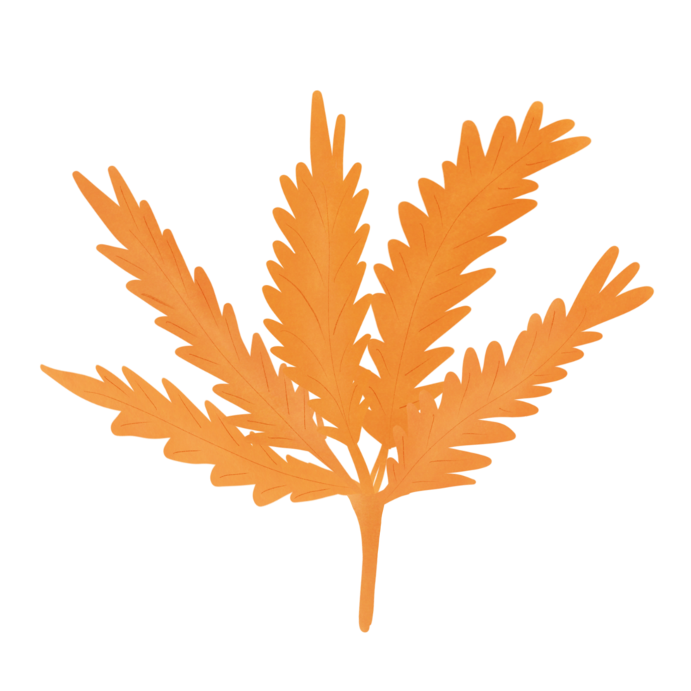 Autumn tree plant png