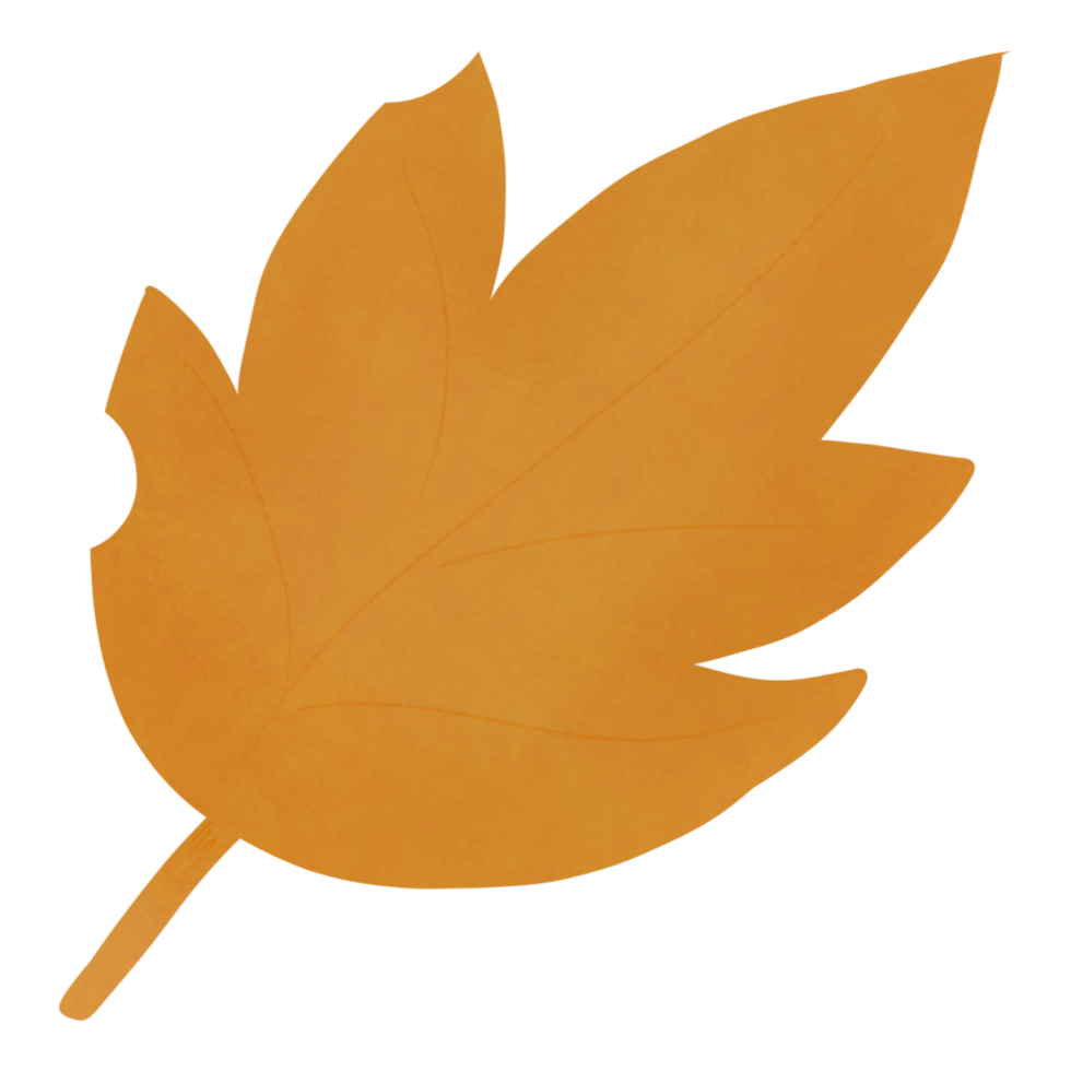 Autumn plant orange png