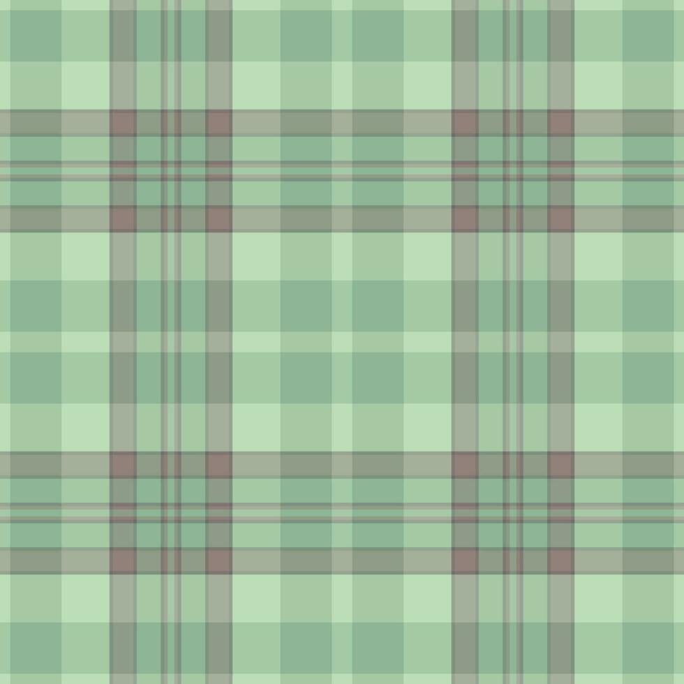 Textile seamless texture of tartan fabric plaid with a check background vector pattern.