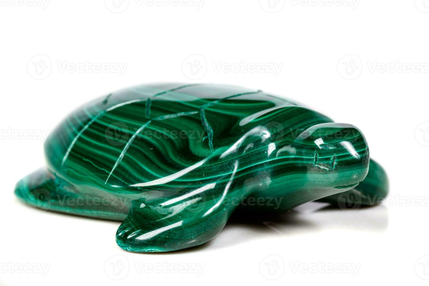 macro mineral stone turtle from malachite photo