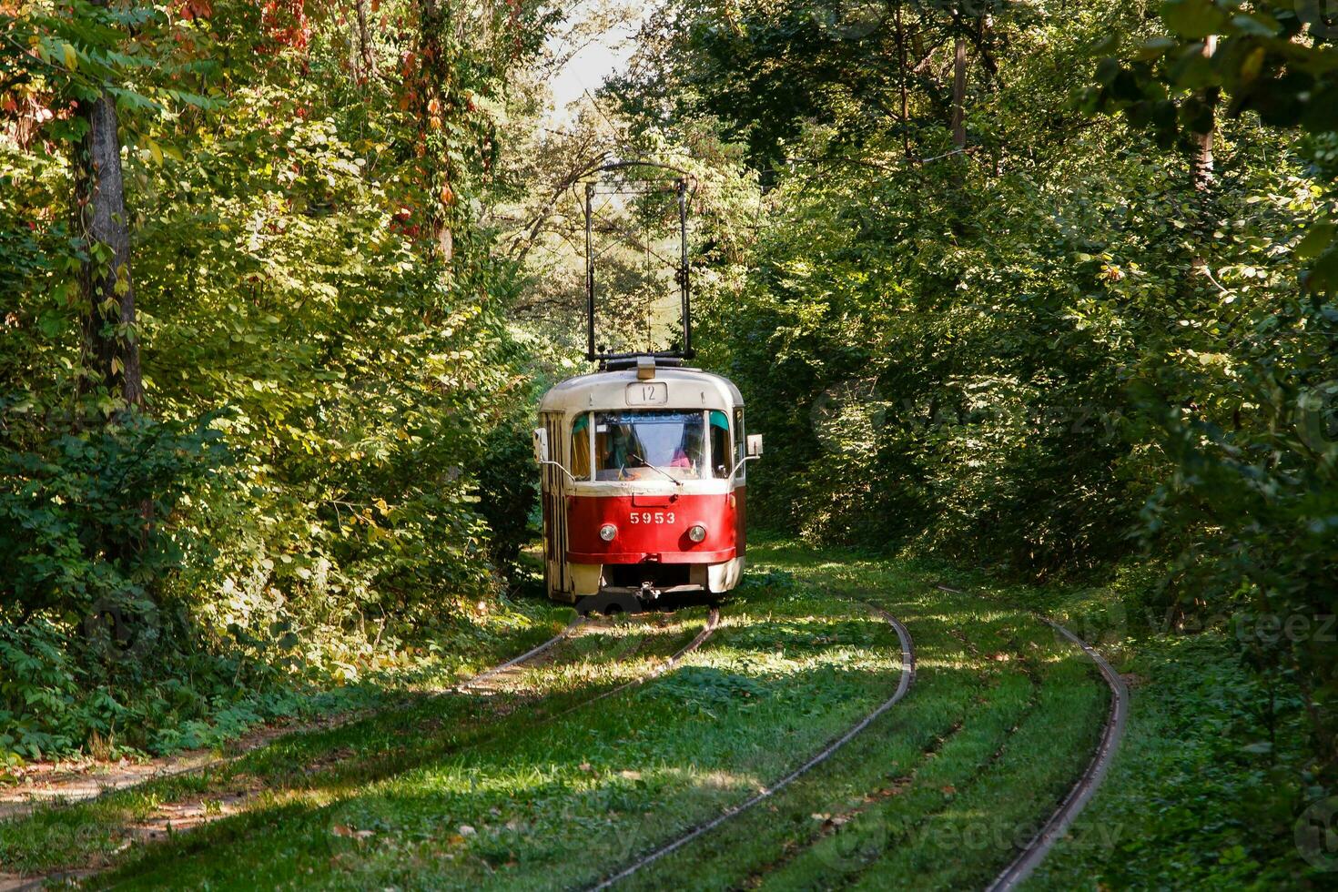 Tram and tram rails in colorful forest photo