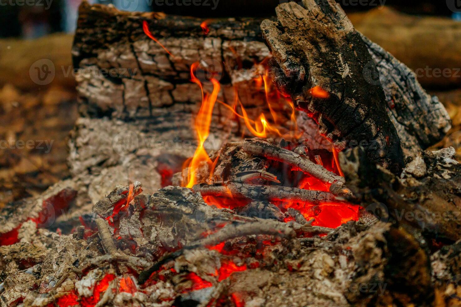 texture flame from burning logs at night photo