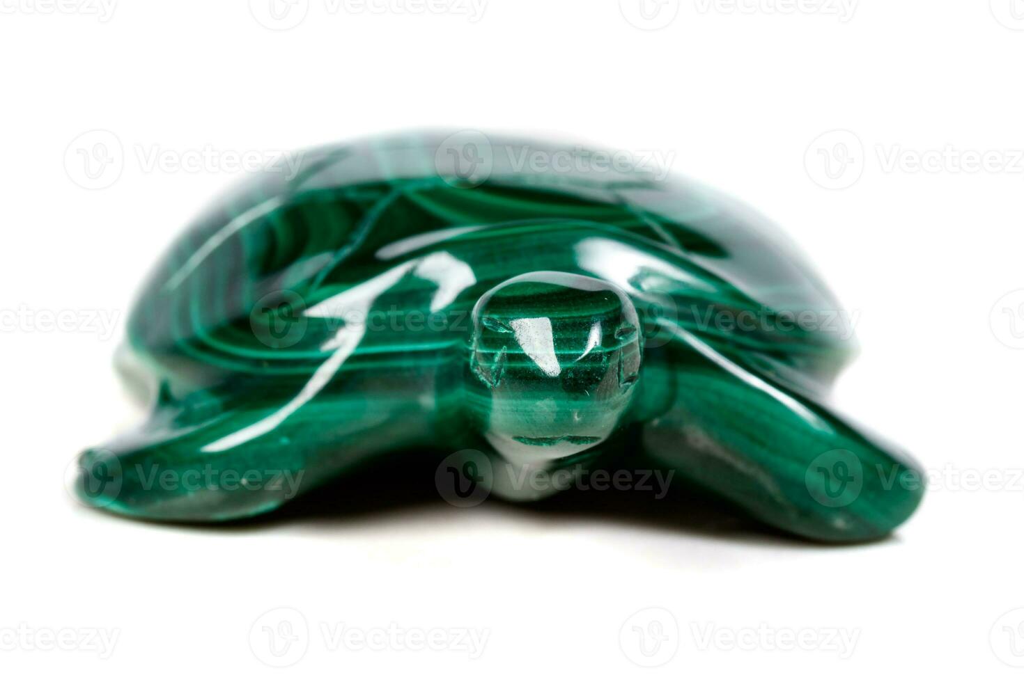 macro mineral stone turtle from malachite photo