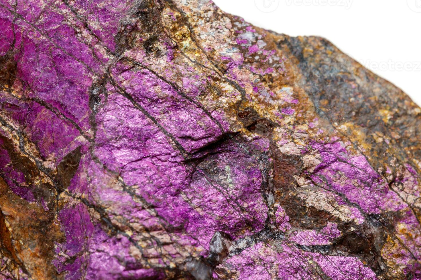 Macro mineral stone purpureus, purple purpurite in the breed a white background photo