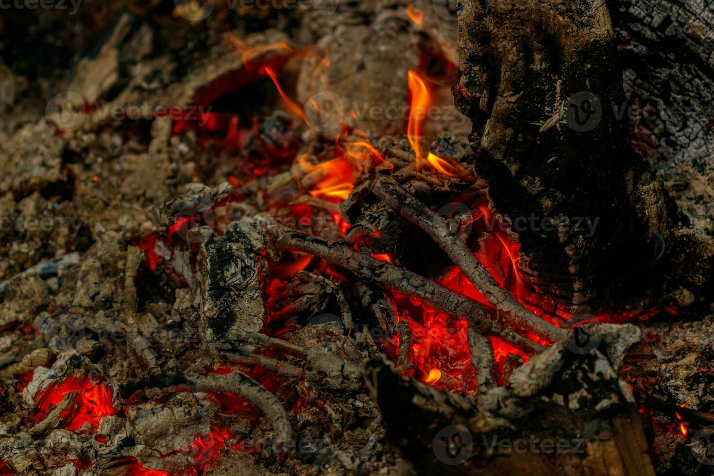 texture flame from burning logs at night photo