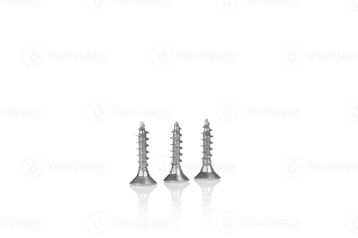 macro screw of silver color on a white background photo