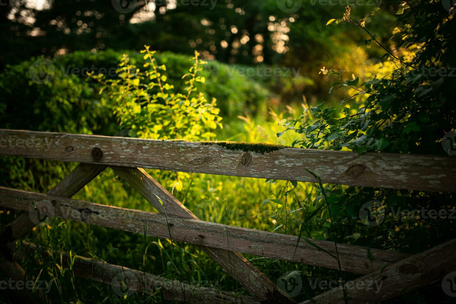 Gate in a wooden fence on a foothpath toward forest close to Brighton, East Sussex, UK photo