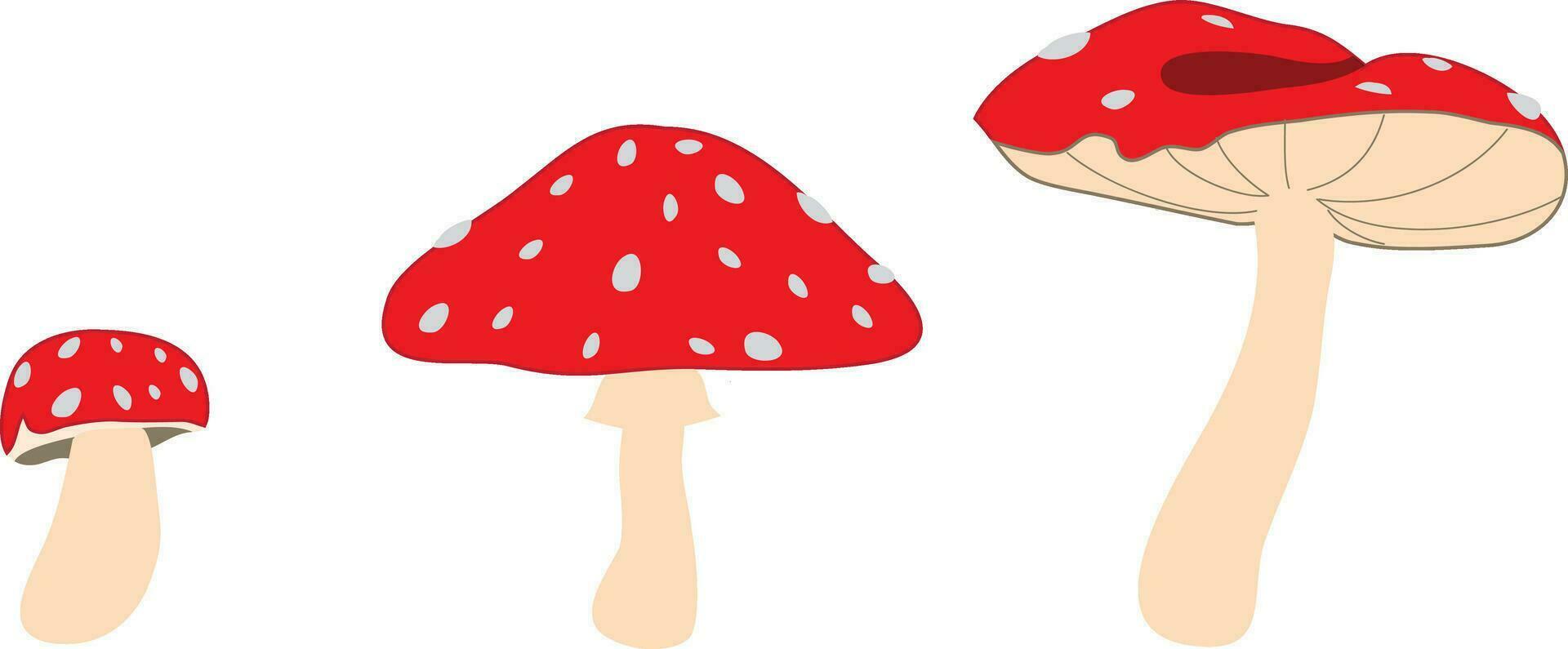 Mushroom icon set. Amanita Muscaria -fly agaric- sign collection. Magic mushroom symbol. Vector illustration isolated on white background