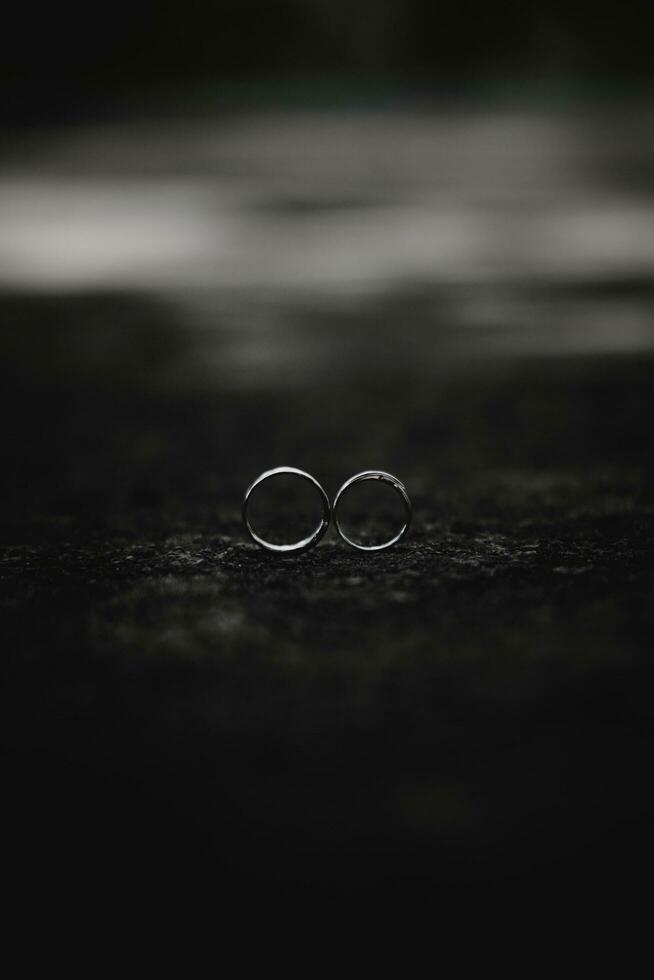 two rings sit on a table in black and white photo