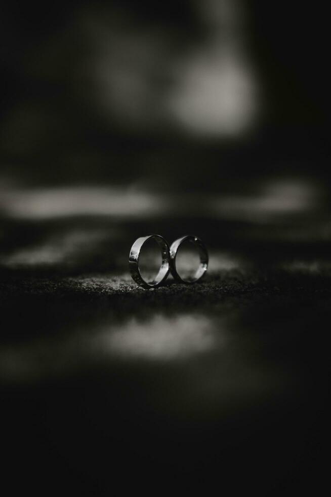 dos anillos sentado en un mesa en negro y blanco foto