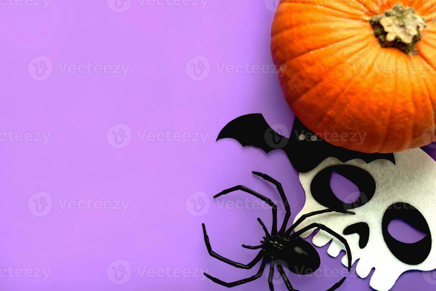 Halloween concept background. Top view of skull,halloween pumpkin,spider and vampire with space for text. Halloween party decoration concept photo