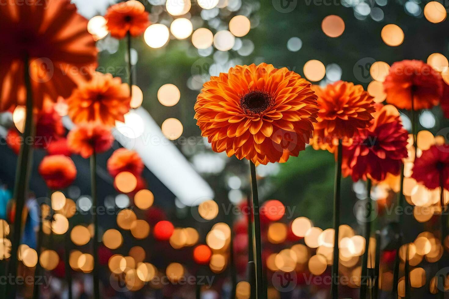 naranja flores en frente de un brillante ligero. generado por ai foto