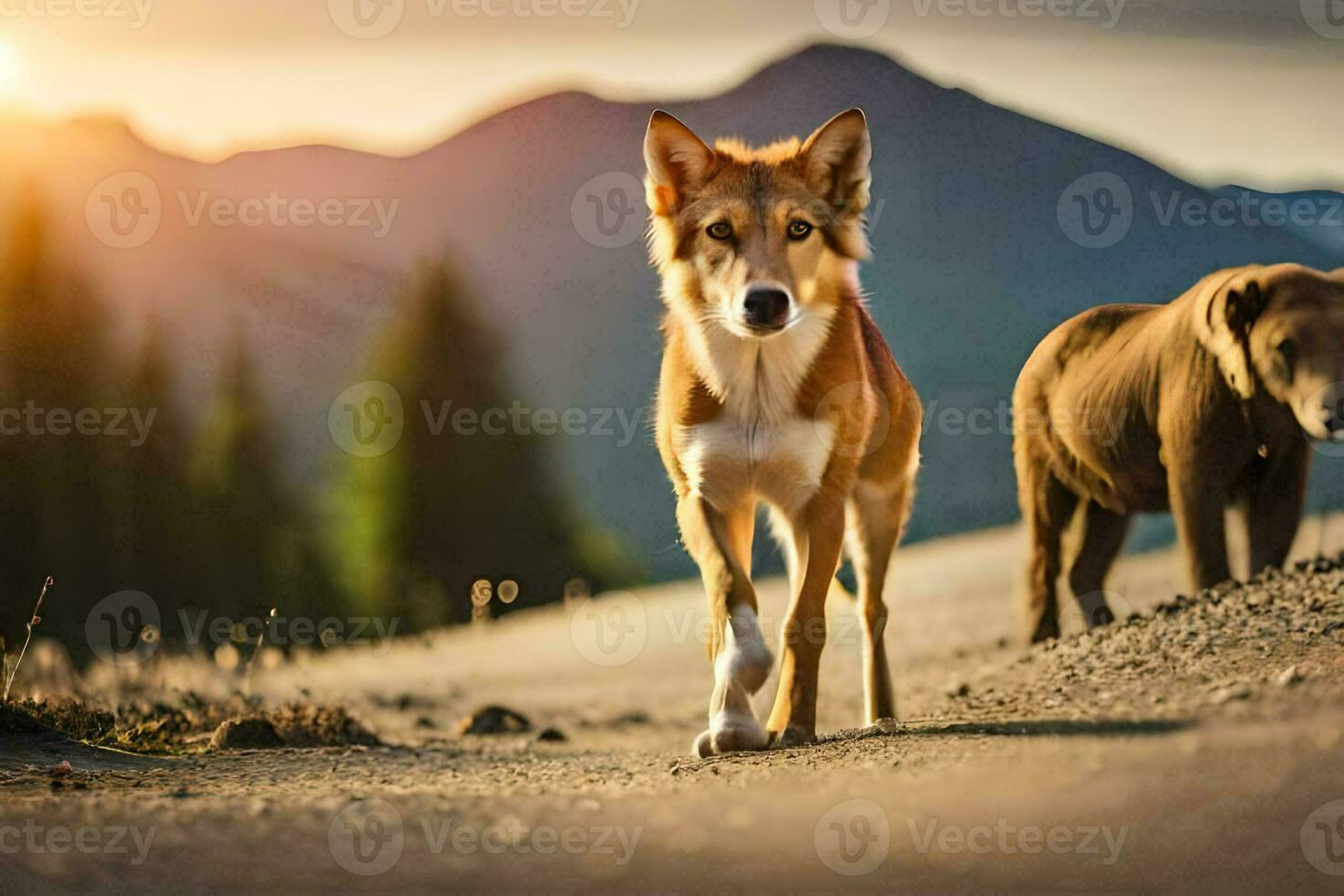 dos marrón perros caminando en el montañas a puesta de sol. generado por ai foto