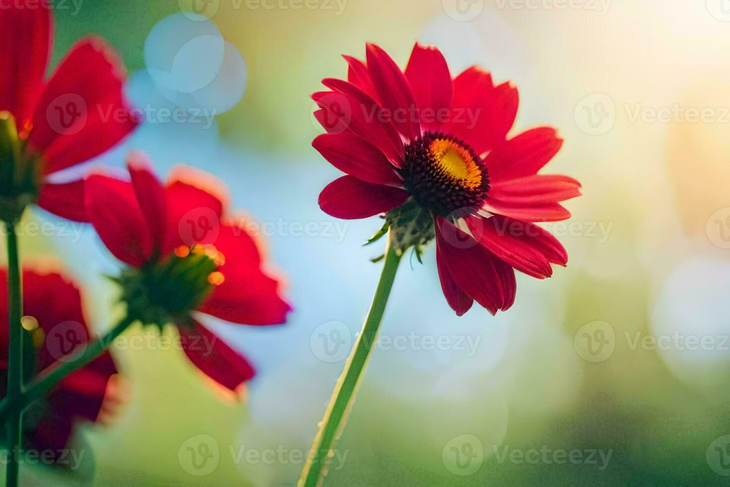 rojo flores en el Dom con un borroso antecedentes. generado por ai foto