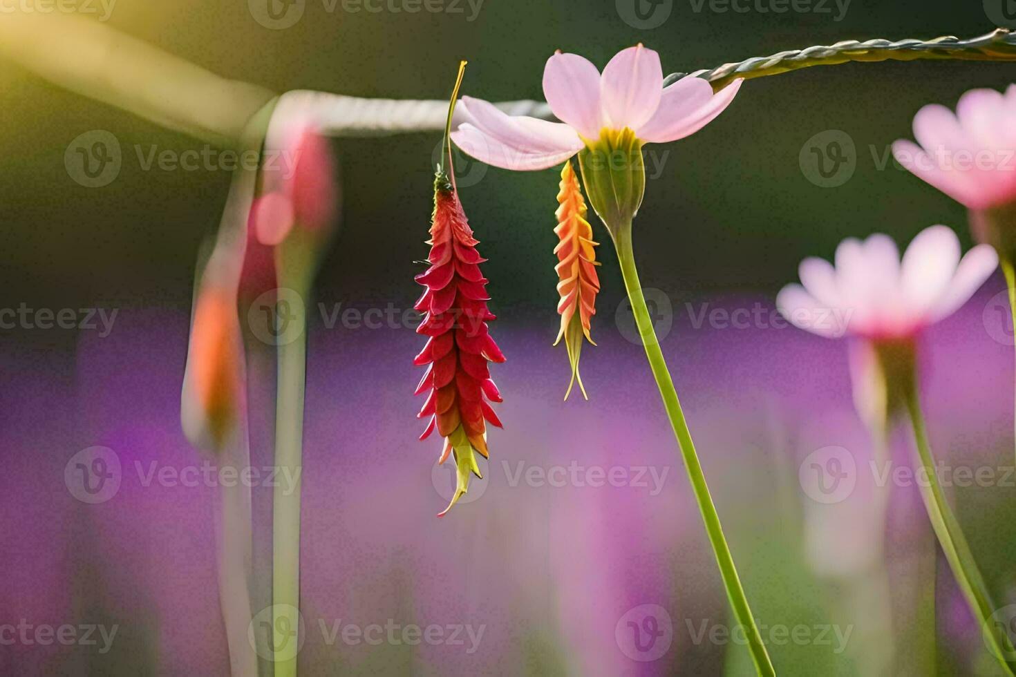 pink flowers are growing in a field. AI-Generated photo