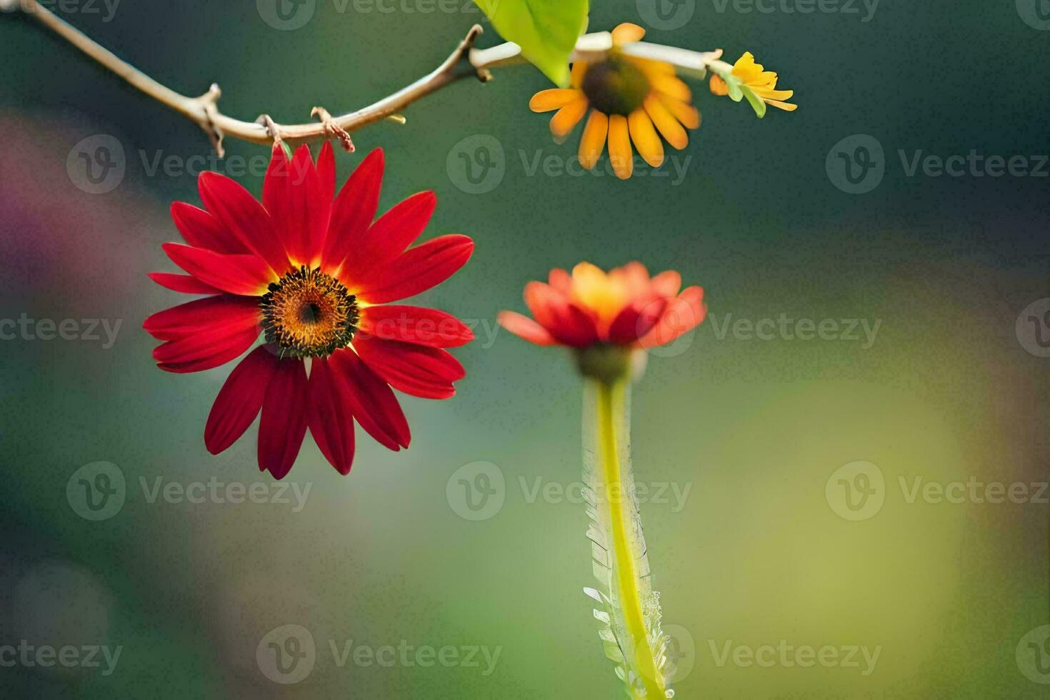 red flower, yellow flower, green background, blurry hd wallpaper. AI-Generated photo