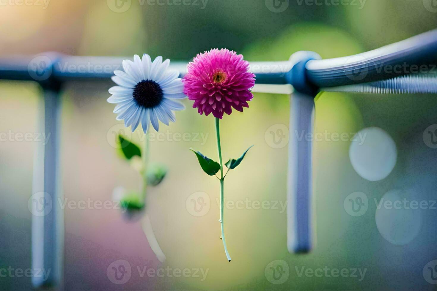 two flowers are hanging from a clothesline. AI-Generated photo