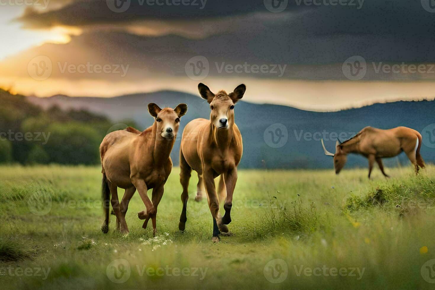 two horses are walking in the grass at sunset. AI-Generated photo