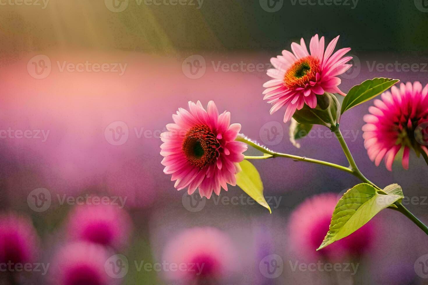 pink flowers in the sun. AI-Generated photo