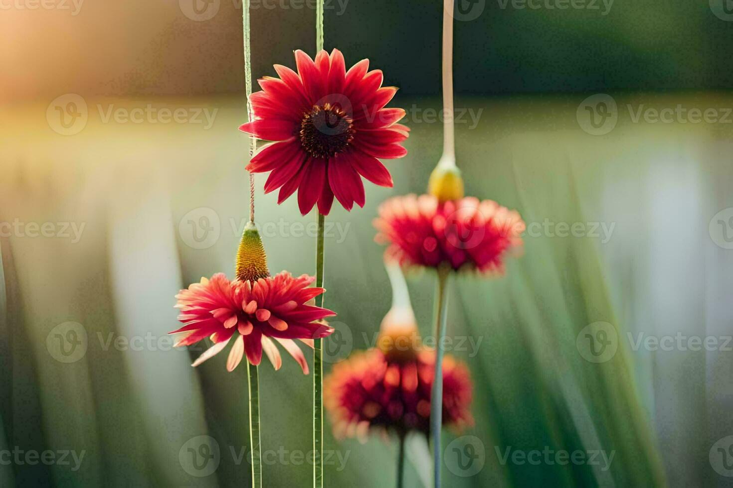 red flowers hanging from a string in front of a lake. AI-Generated photo