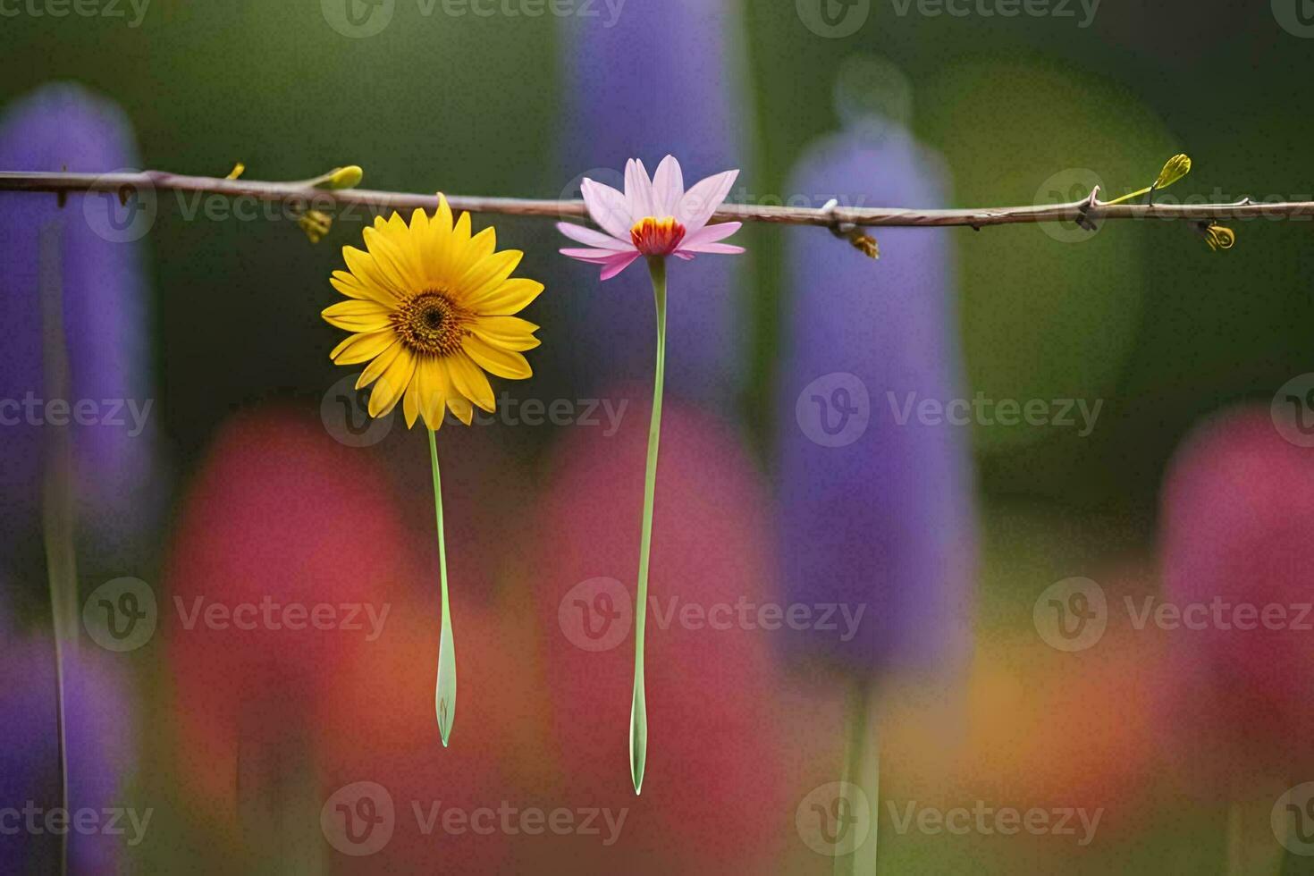 two flowers are hanging from a branch in a field. AI-Generated photo
