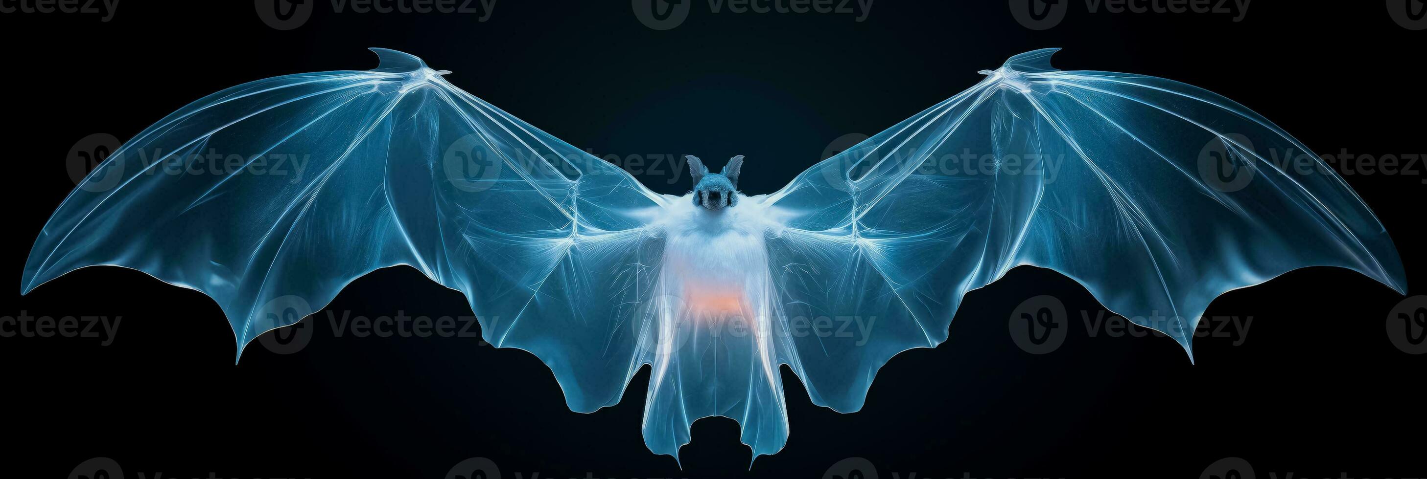 Bats wing skeletal structure X ray image background with empty space for text photo