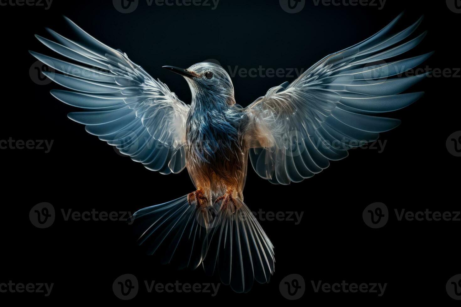 Detailed X ray image showcasing intricate bird skeletal structure photo