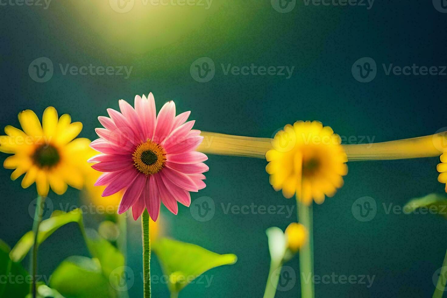 flores en el campo, sol, verde, flores, naturaleza, hd fondo de pantalla. generado por ai foto