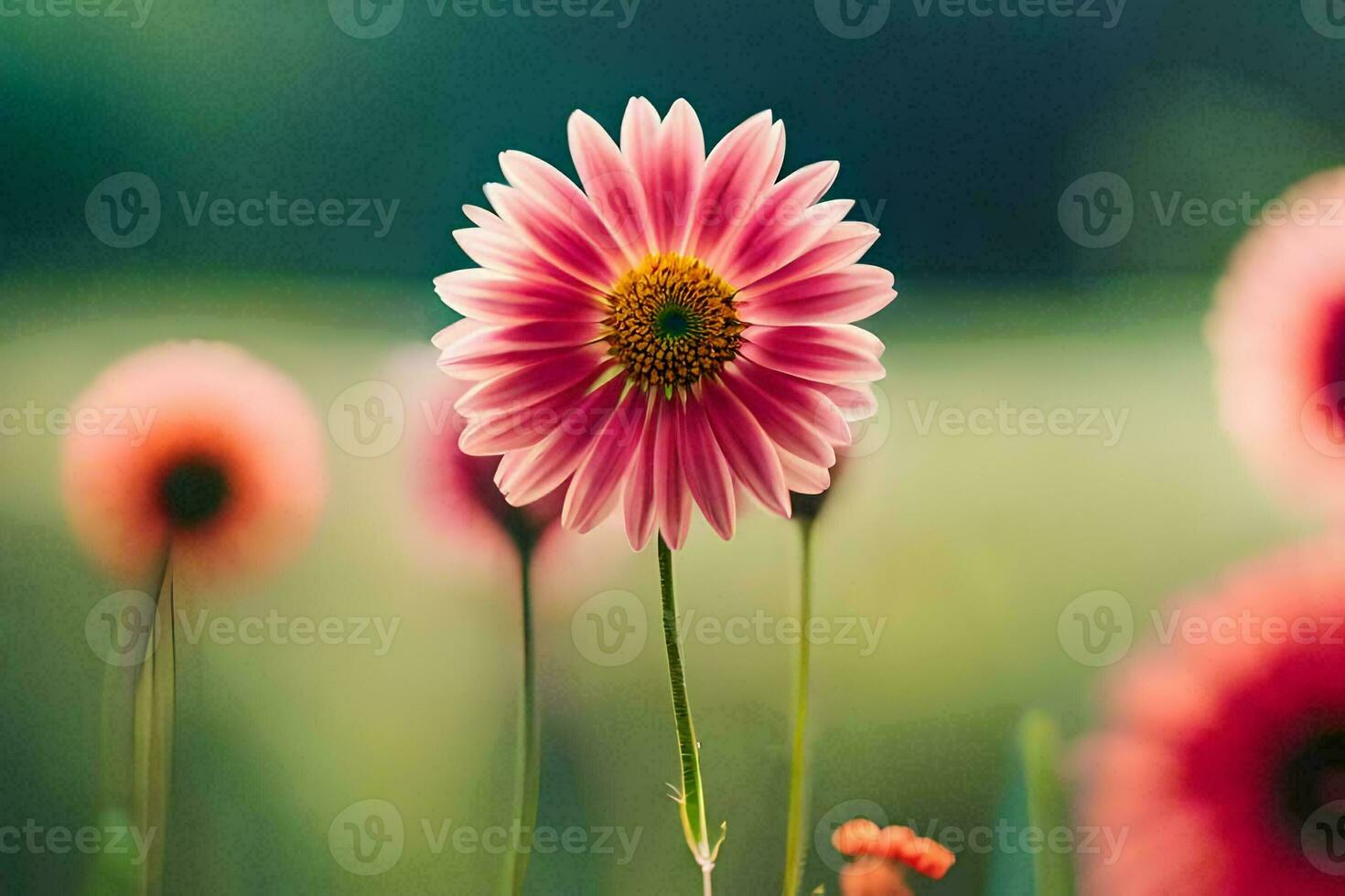 pink flowers in a field with a blurry background. AI-Generated photo