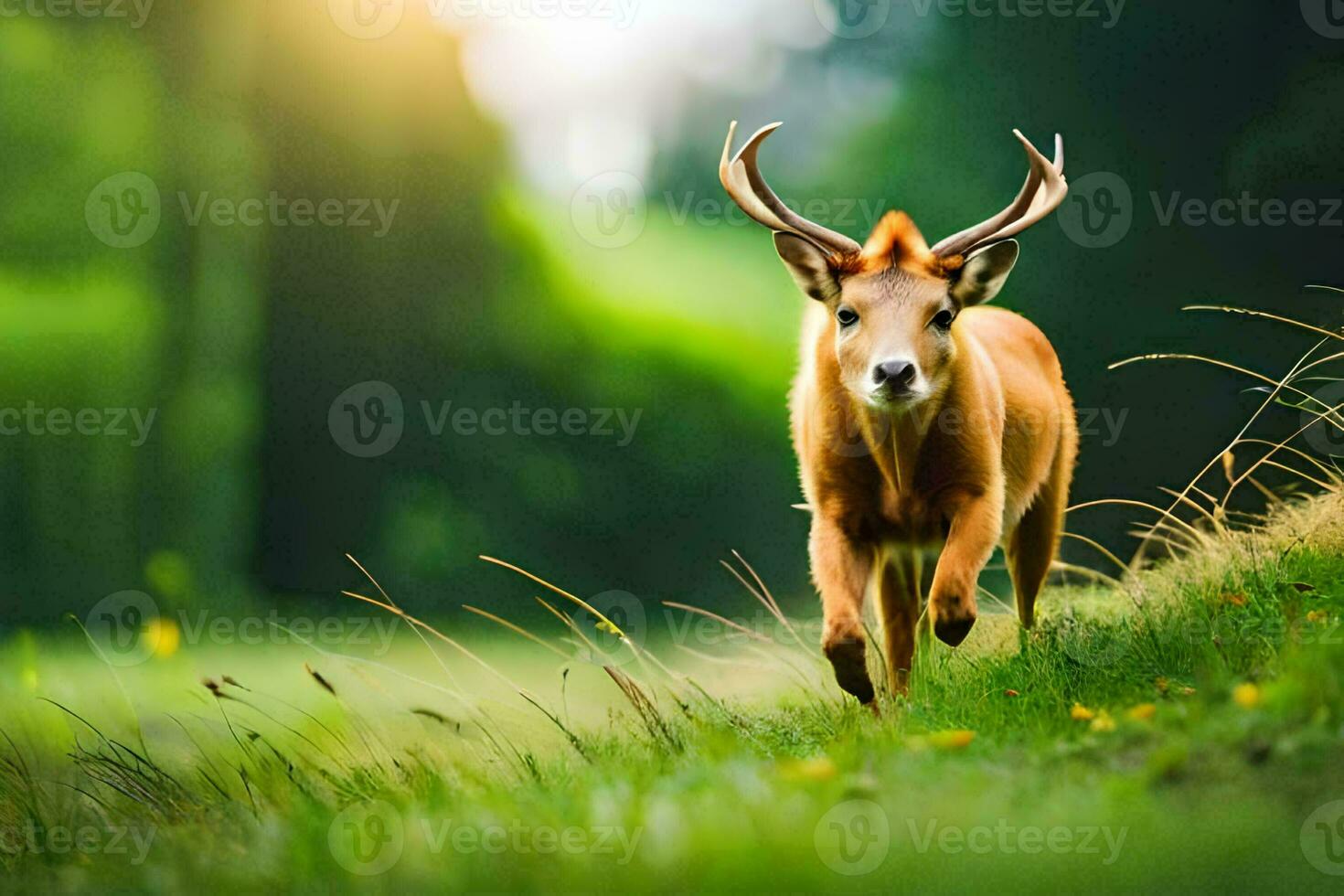 a deer is running through a grassy field. AI-Generated photo