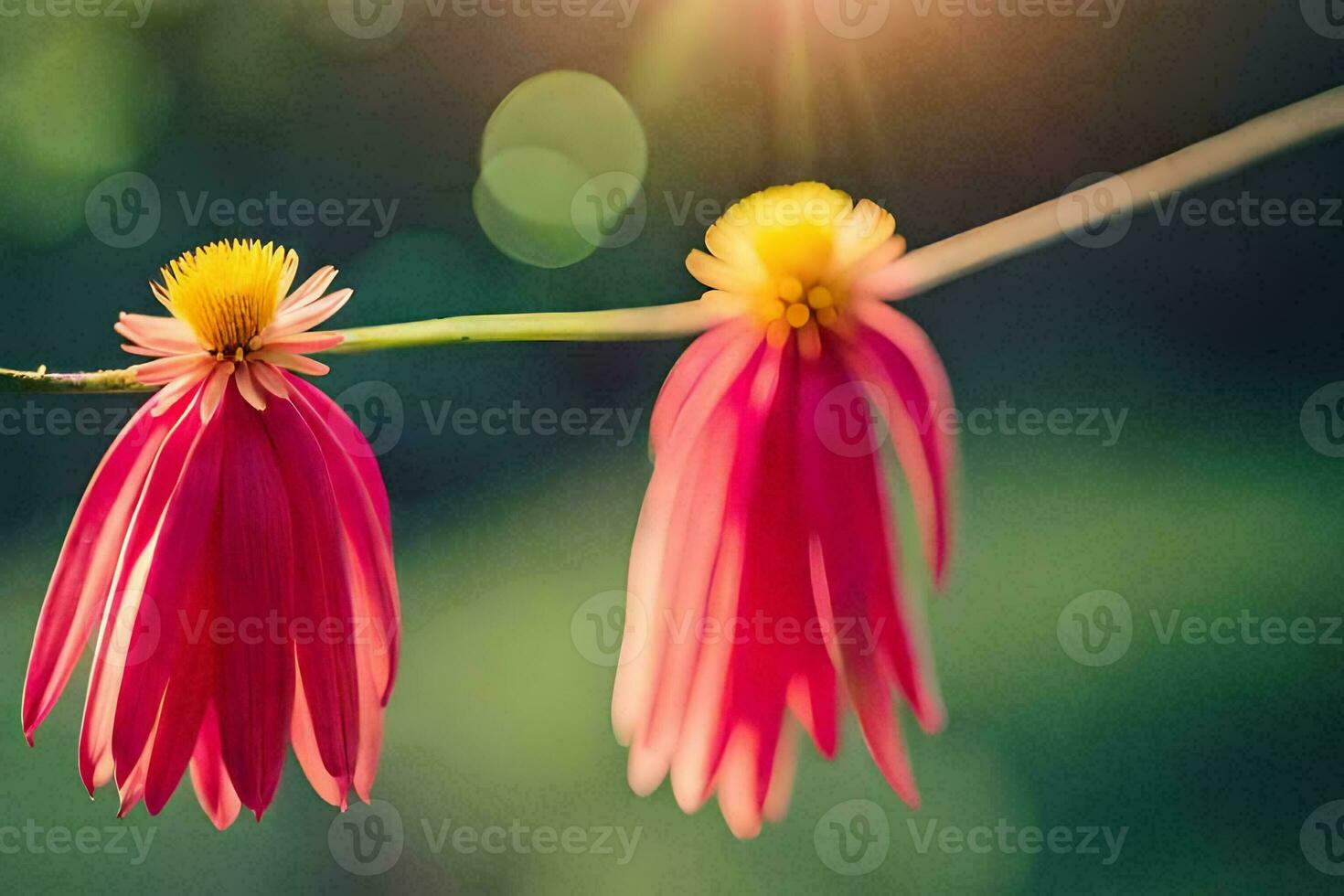 two pink flowers are on a branch with sunlight. AI-Generated photo