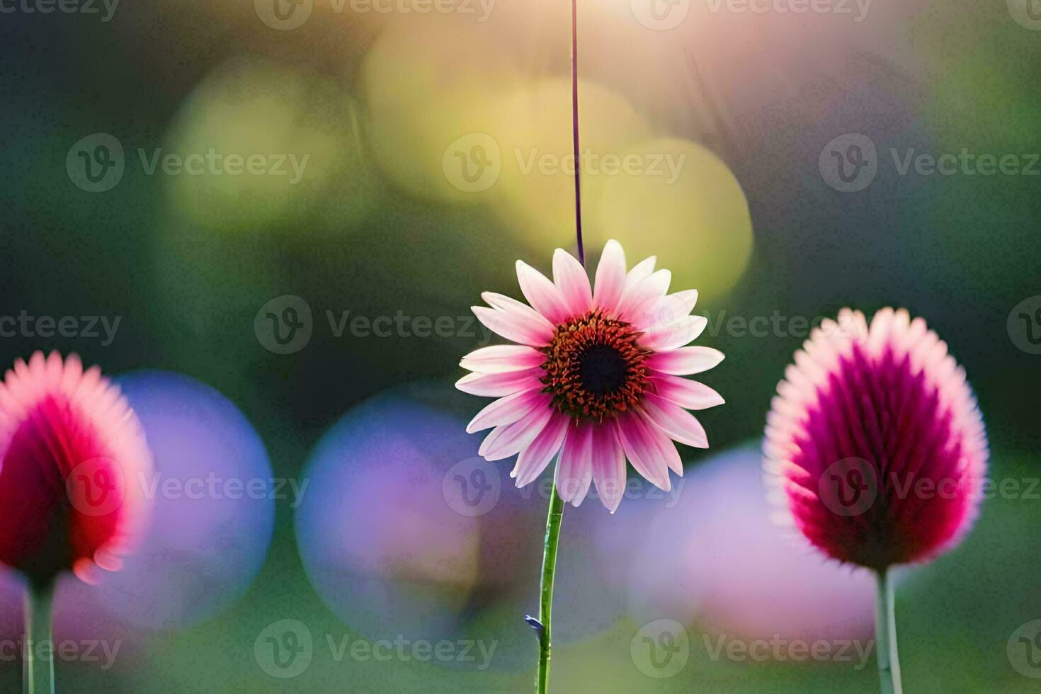 pink flowers in the sun. AI-Generated photo