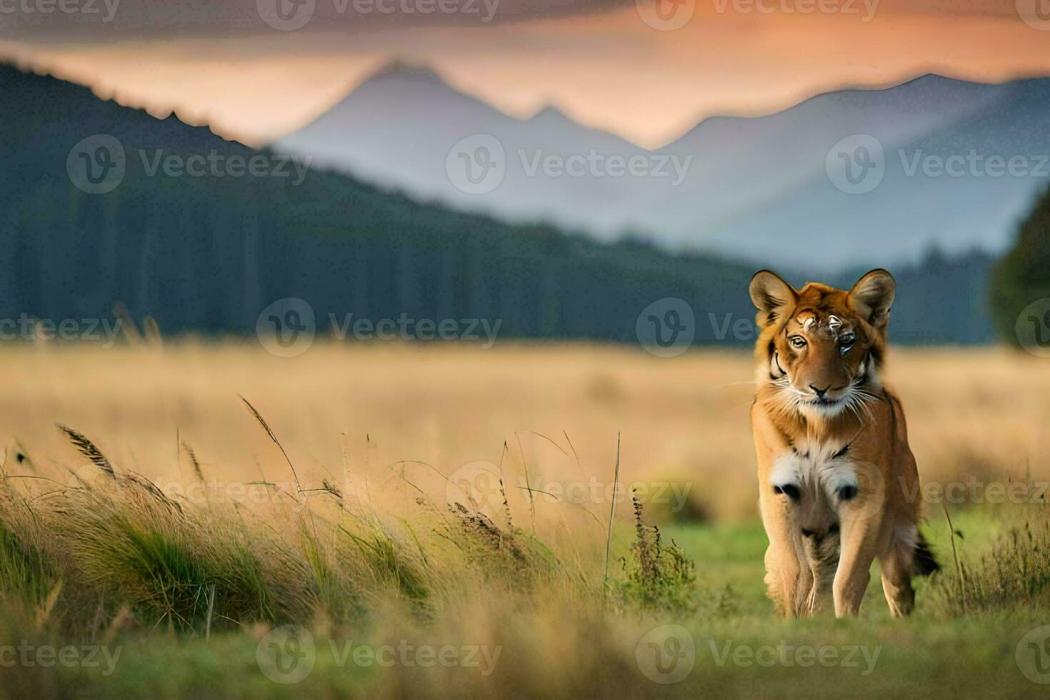 a tiger walking through a field with mountains in the background. AI-Generated photo