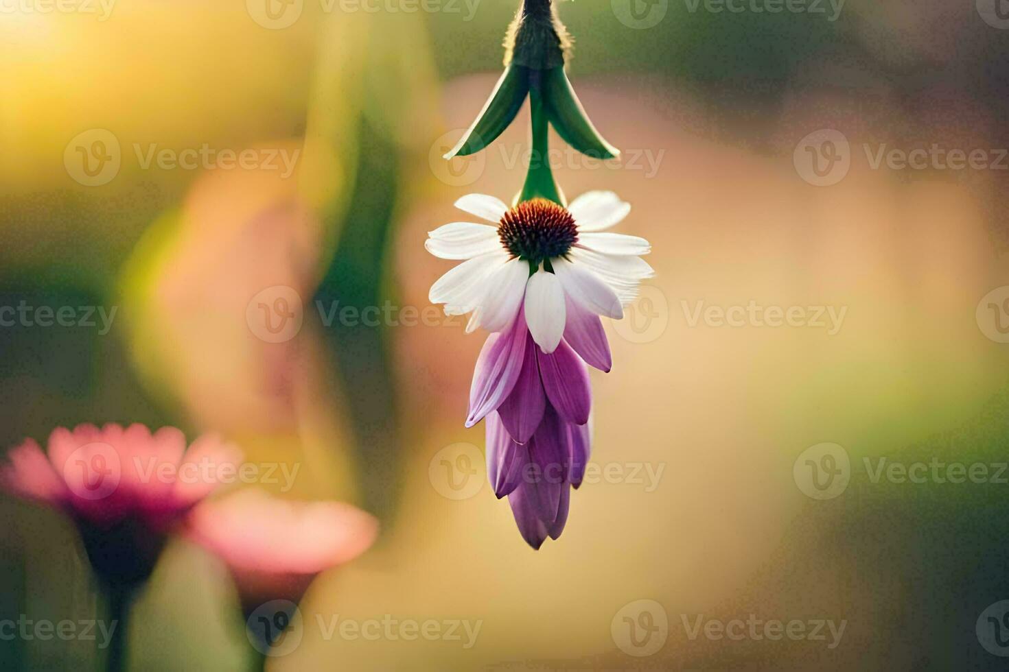 a flower hanging from a vine with a sun in the background. AI-Generated photo