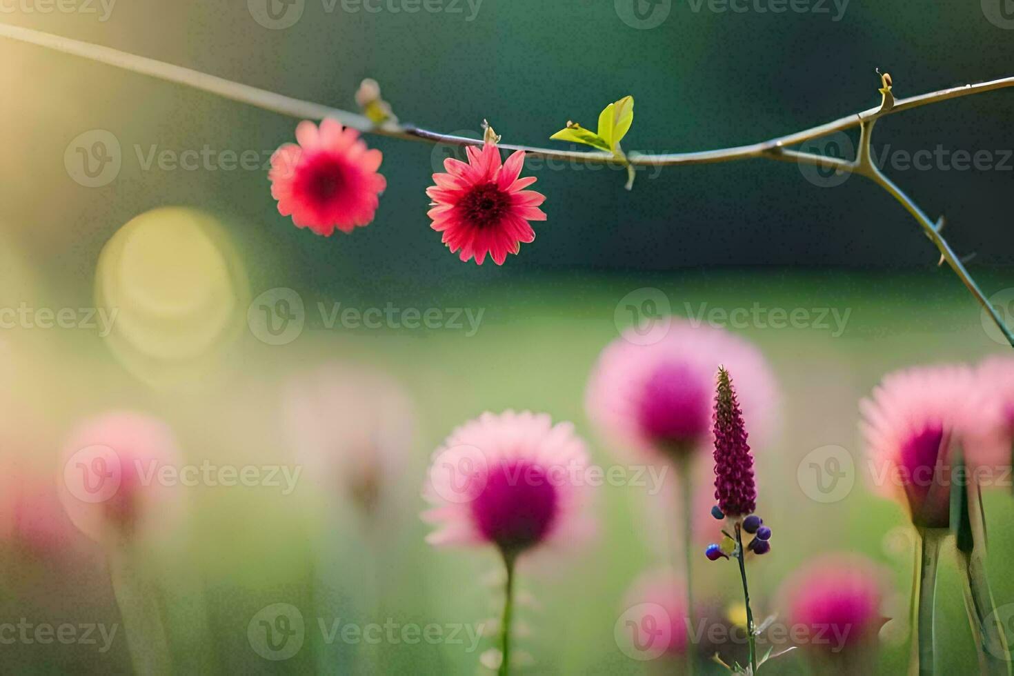 pink flowers are in a field with sunlight shining on them. AI-Generated photo