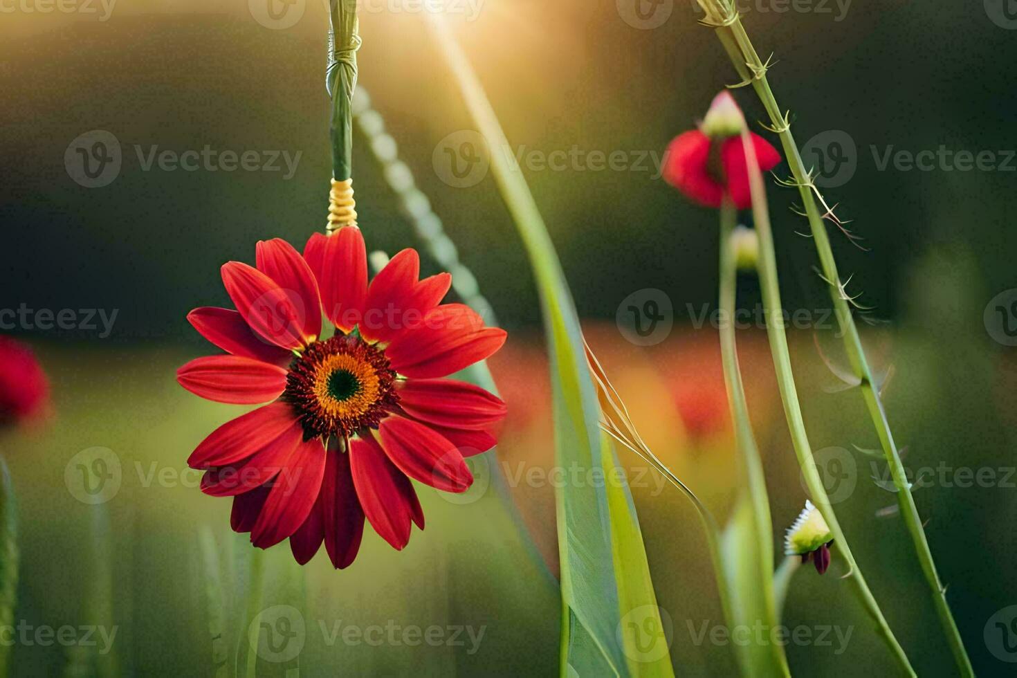 red flower in the field. AI-Generated photo