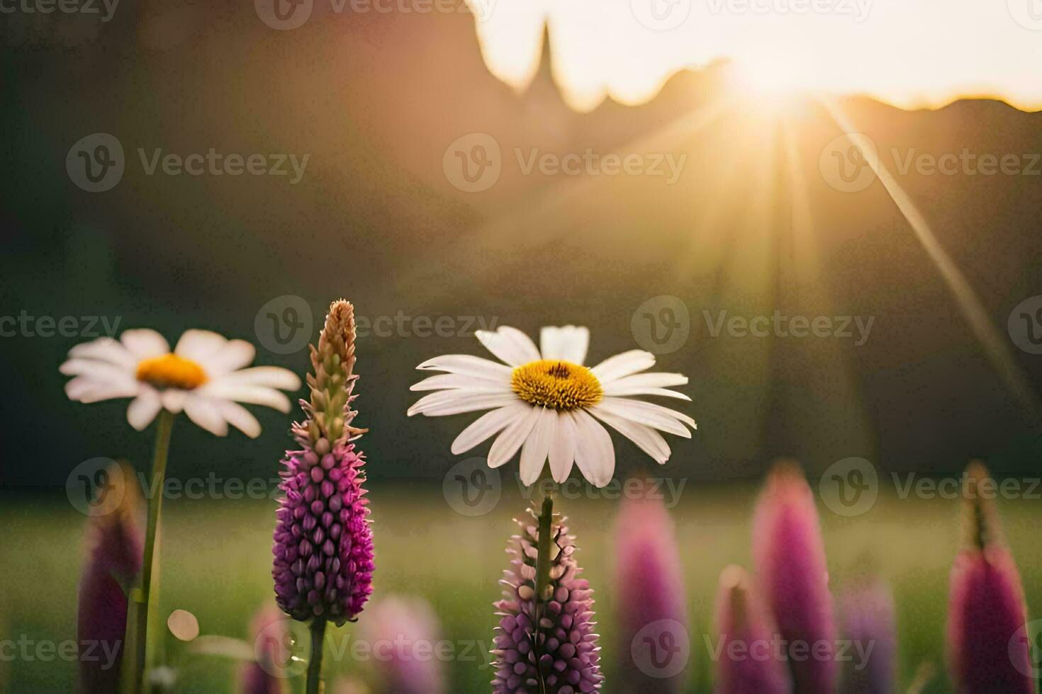 photo wallpaper the sun, flowers, field, field, field, field, field, field,. AI-Generated