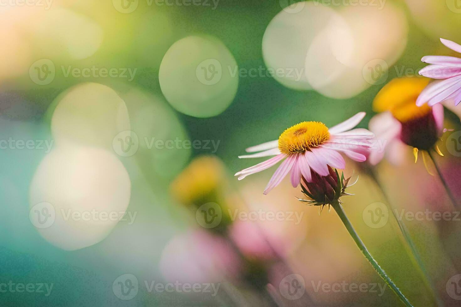 pink flowers in a field with a blurry background. AI-Generated photo