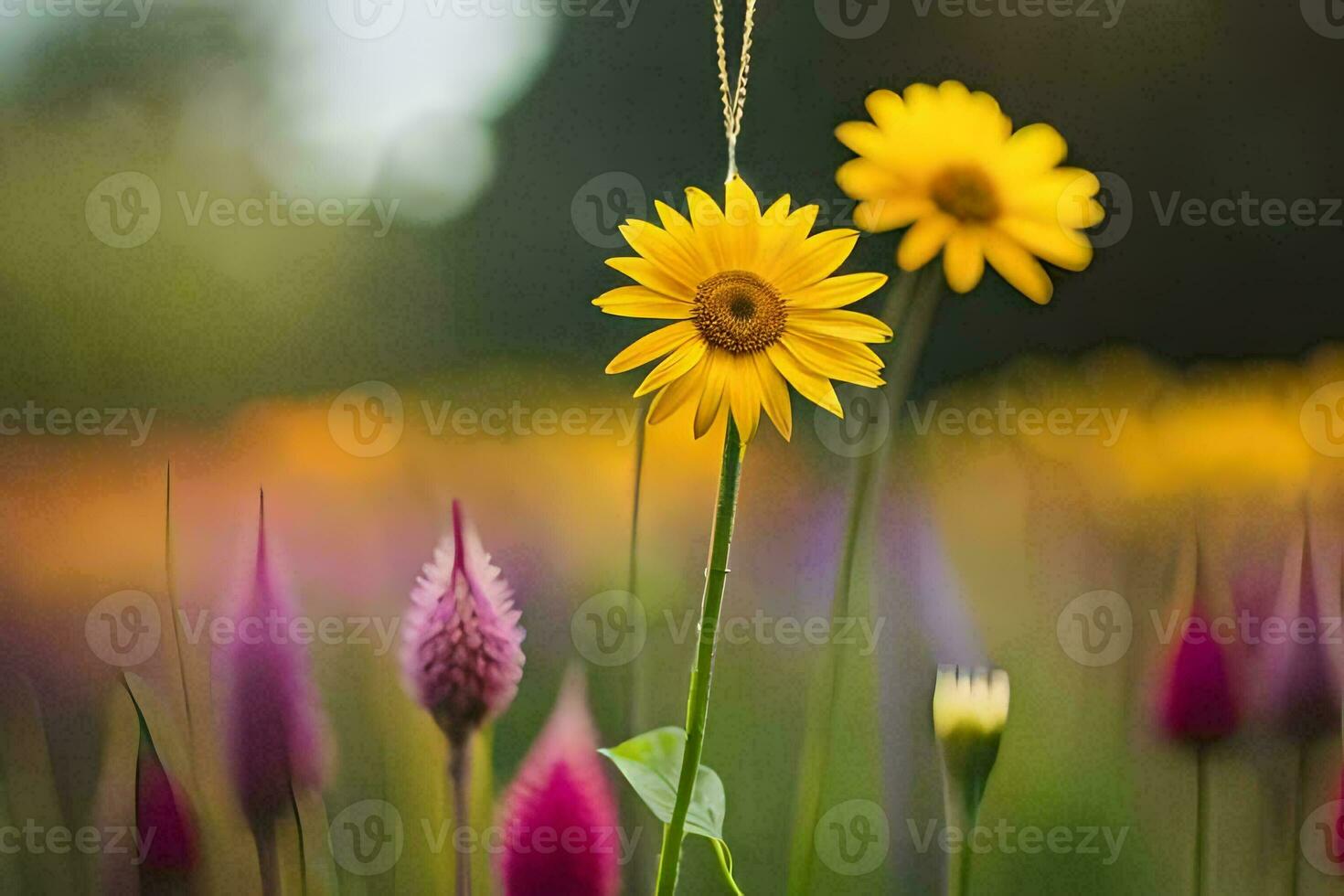 yellow flowers in a field. AI-Generated photo