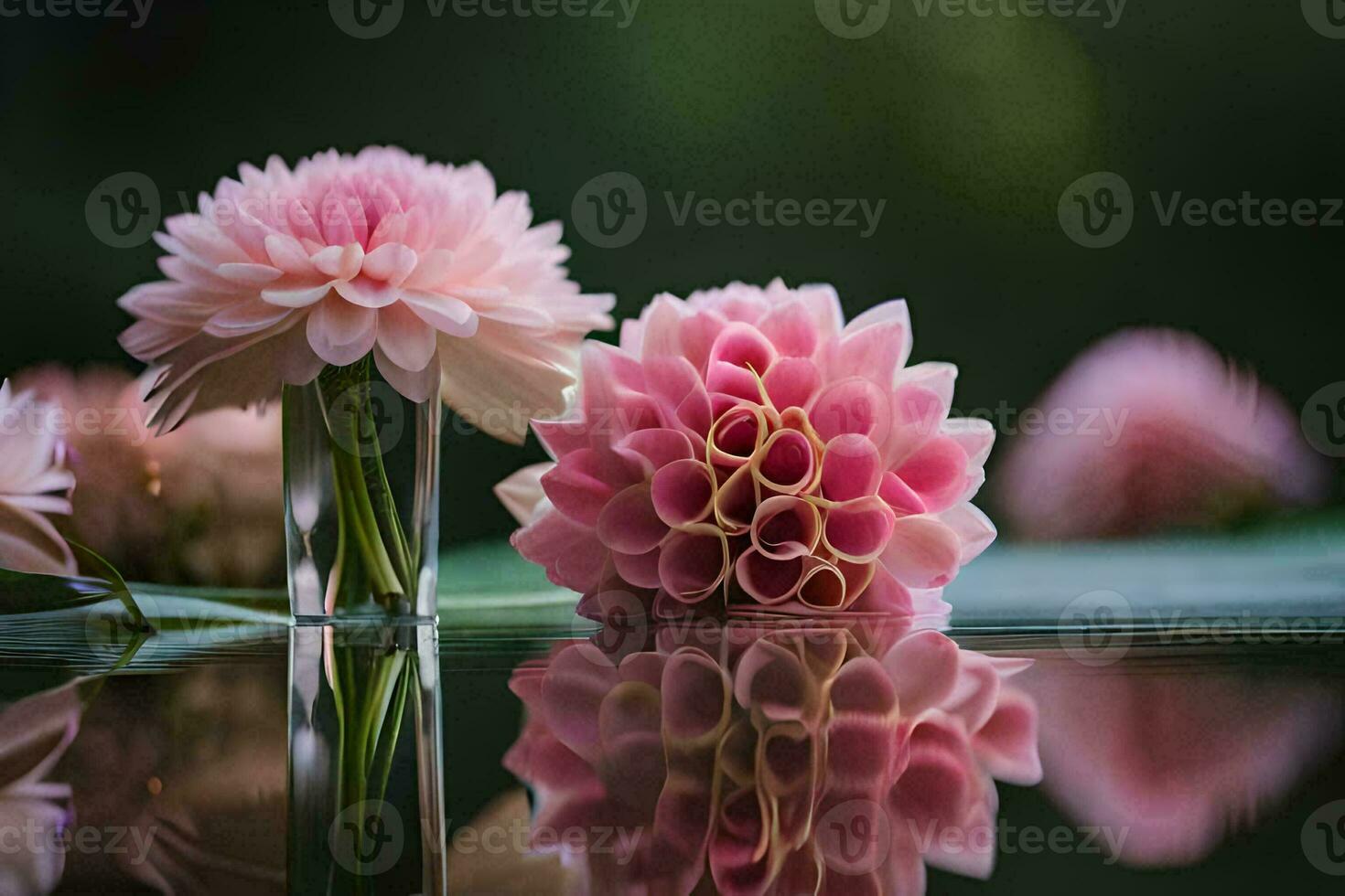 two pink flowers are reflected in a glass vase. AI-Generated photo