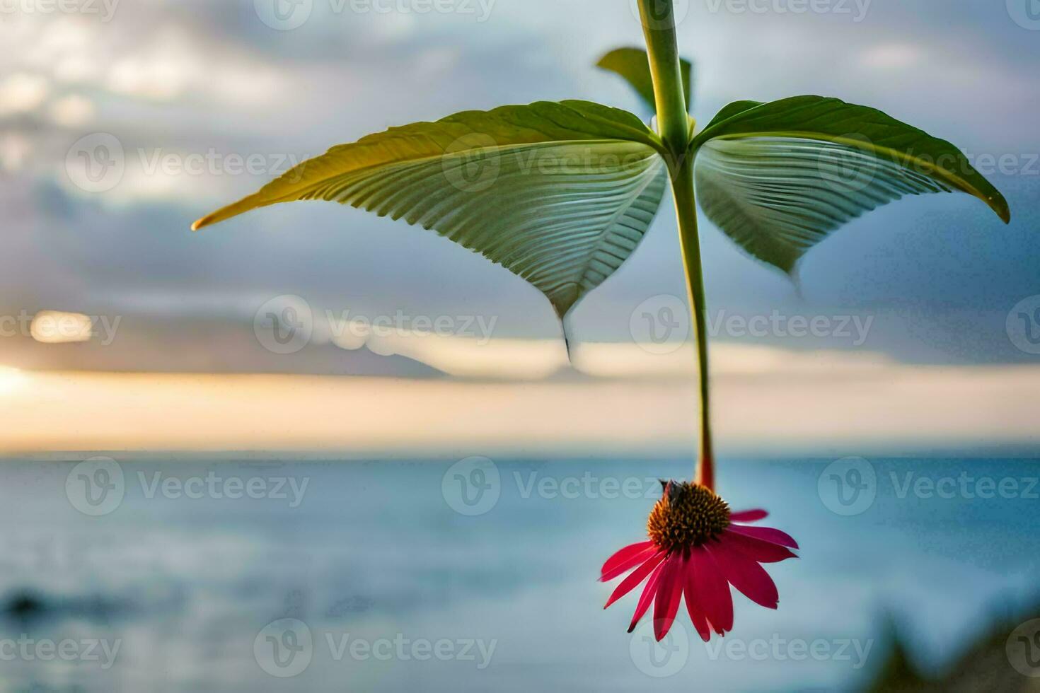 un rosado flor colgando desde un hoja en frente de el océano. generado por ai foto