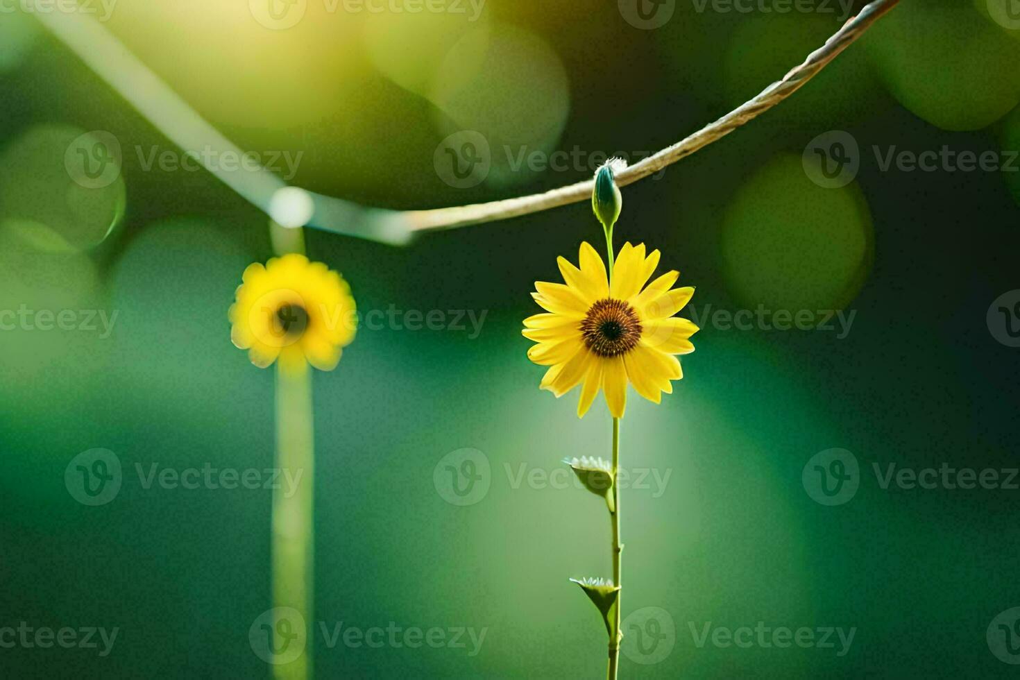 two yellow flowers hanging from a wire. AI-Generated photo