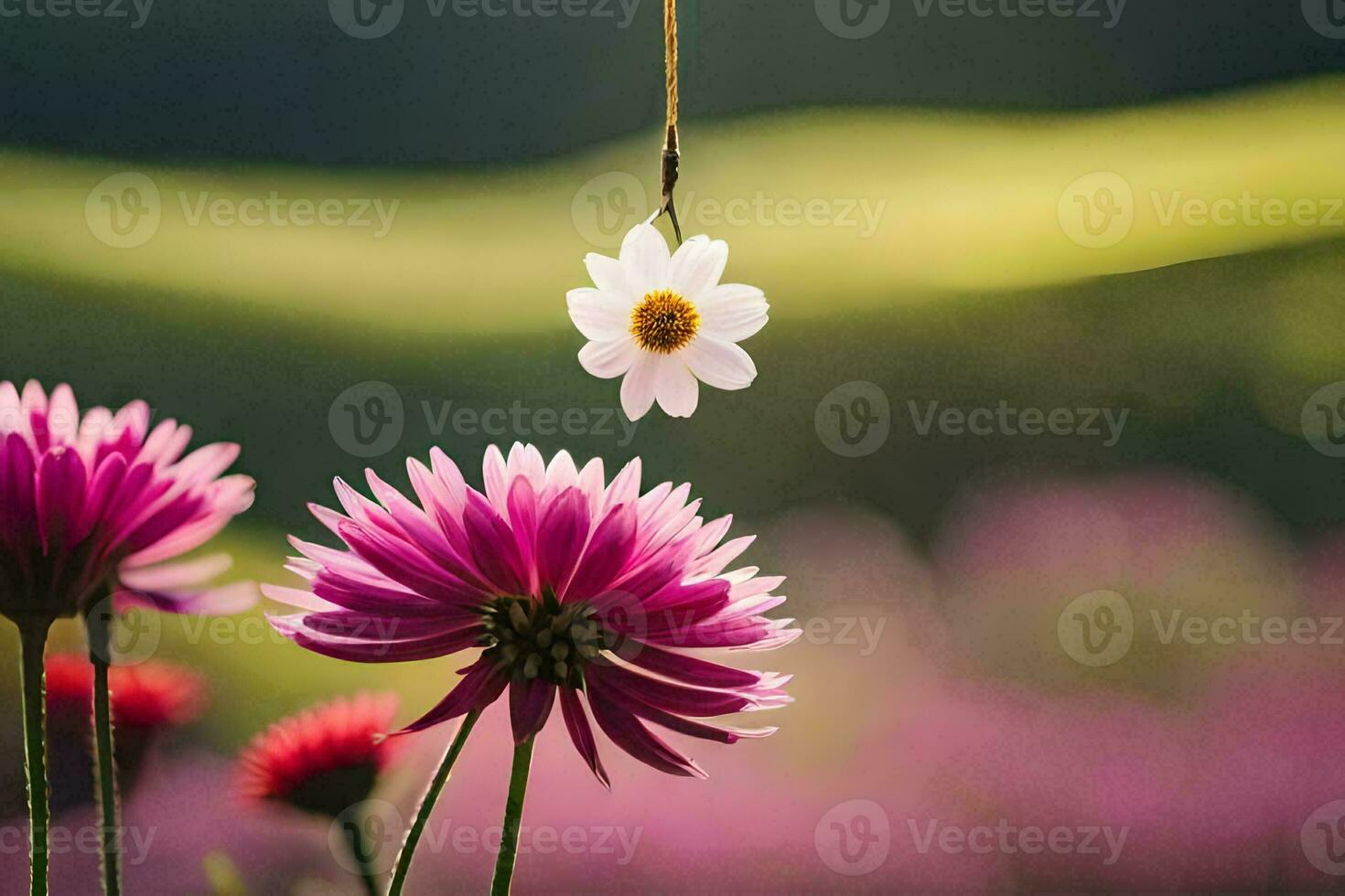 a flower hanging from a string in a field. AI-Generated photo